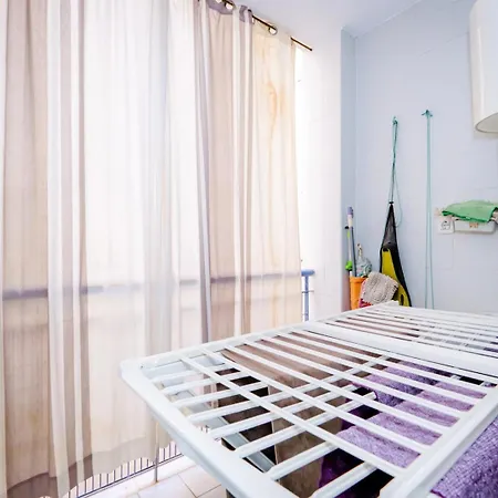 Alegria Habaneras Torrevieja